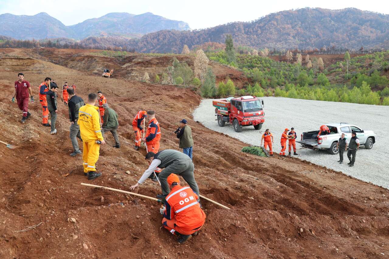 Muğla Orman Bölge Müdürlüğü 11 Kasım’da Yeşil Vatan İçin Seferber Oluyor 3